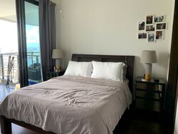 Spottiswoode Residences (D2), Condominium #413835931